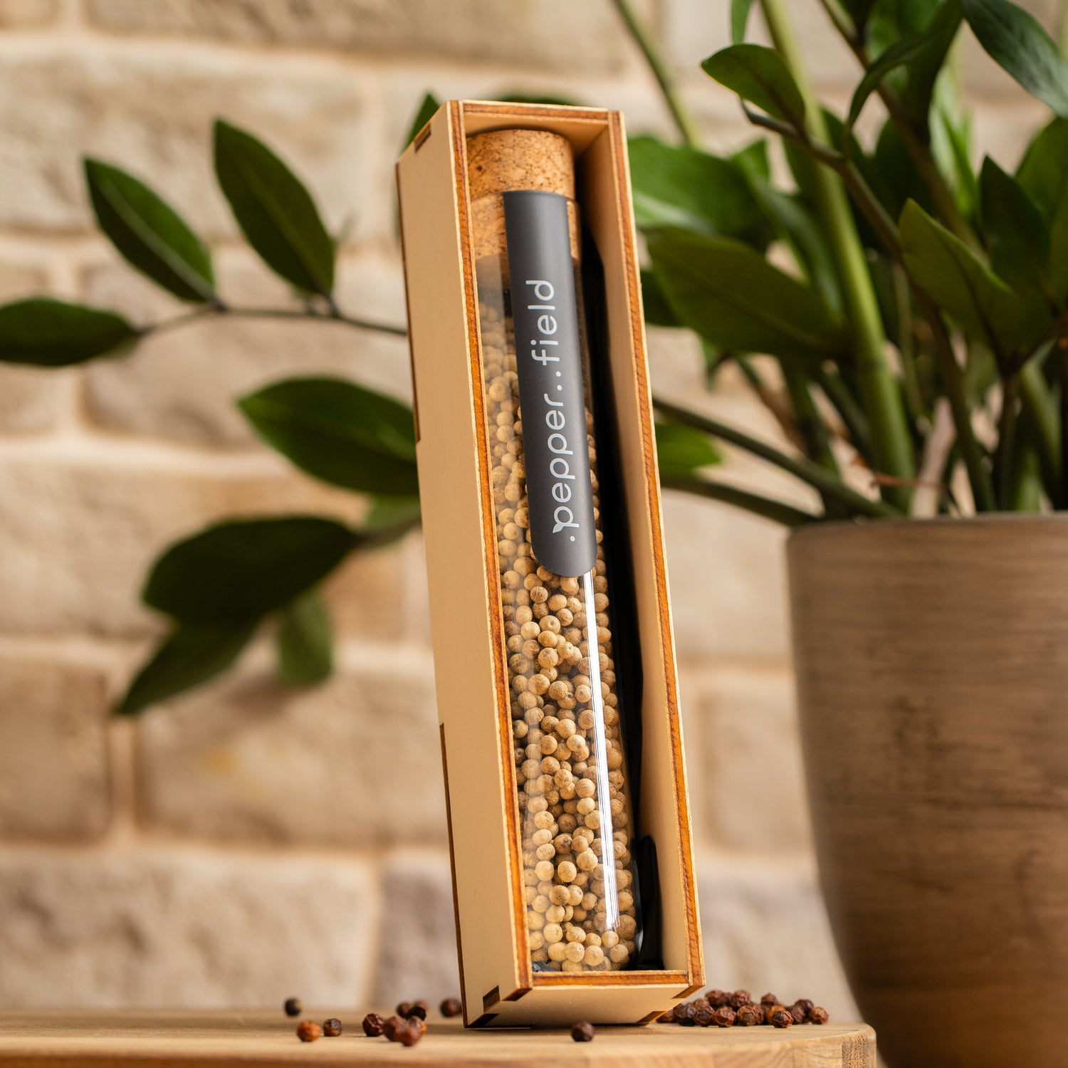 Large test tube with white Kampot pepper in a gift box 